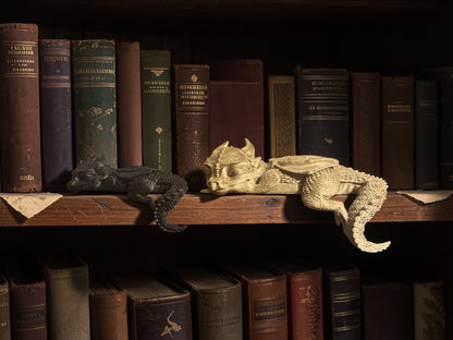 Fourth Wing Inspired Dragon Book Sitters