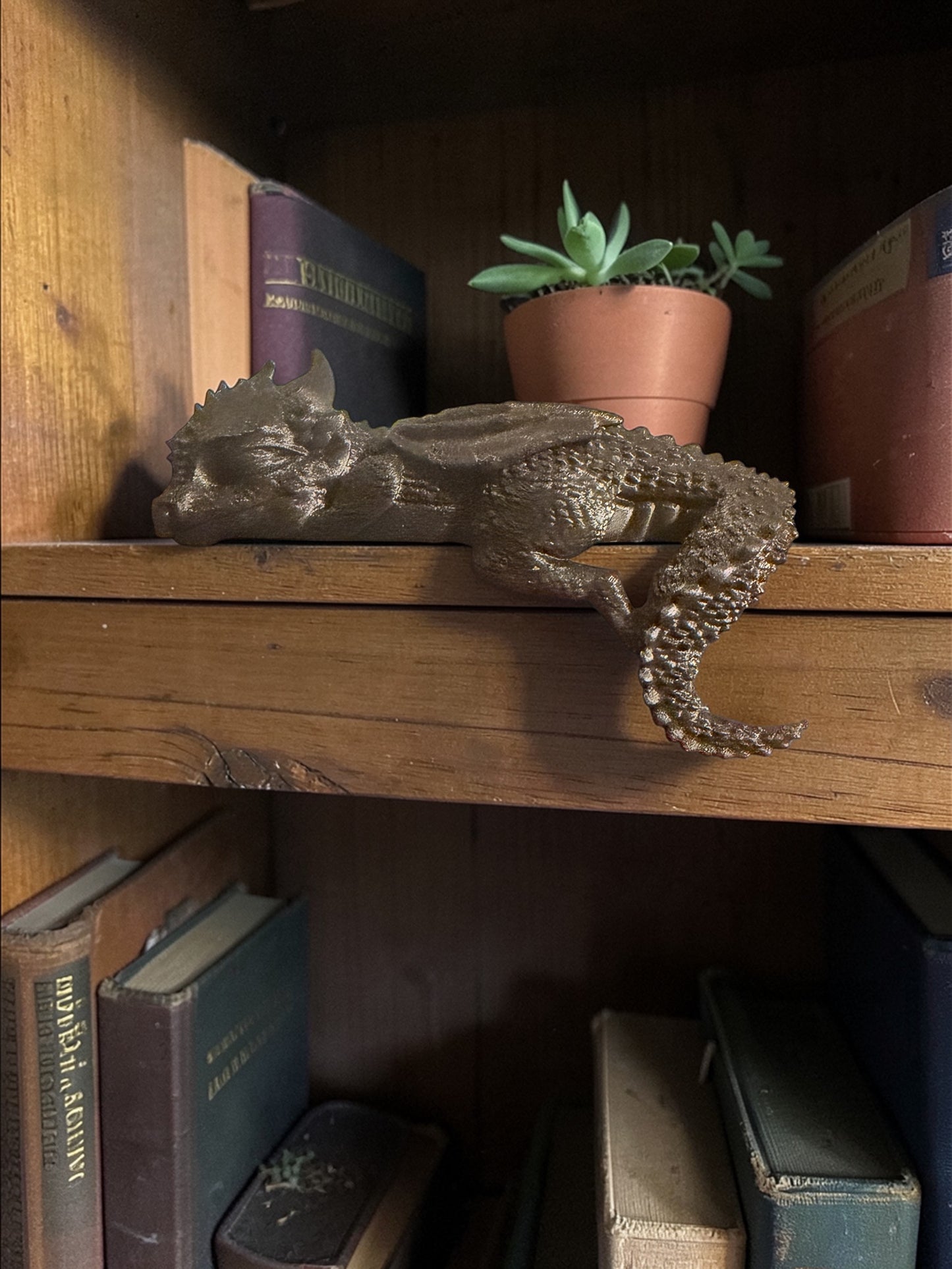 Fourth Wing Inspired Dragon Book Sitters